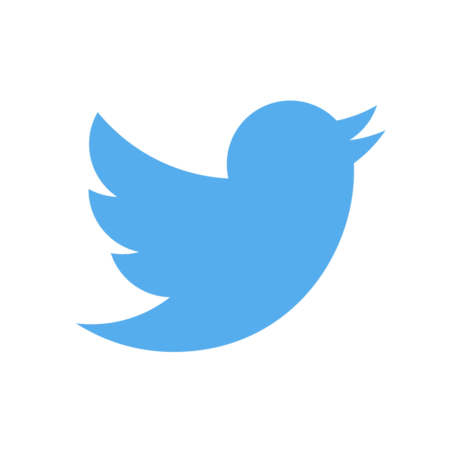 Gestión de redes sociales Twitter logo